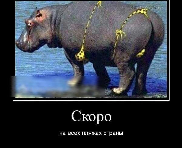 Скоро на всех пляжах страны