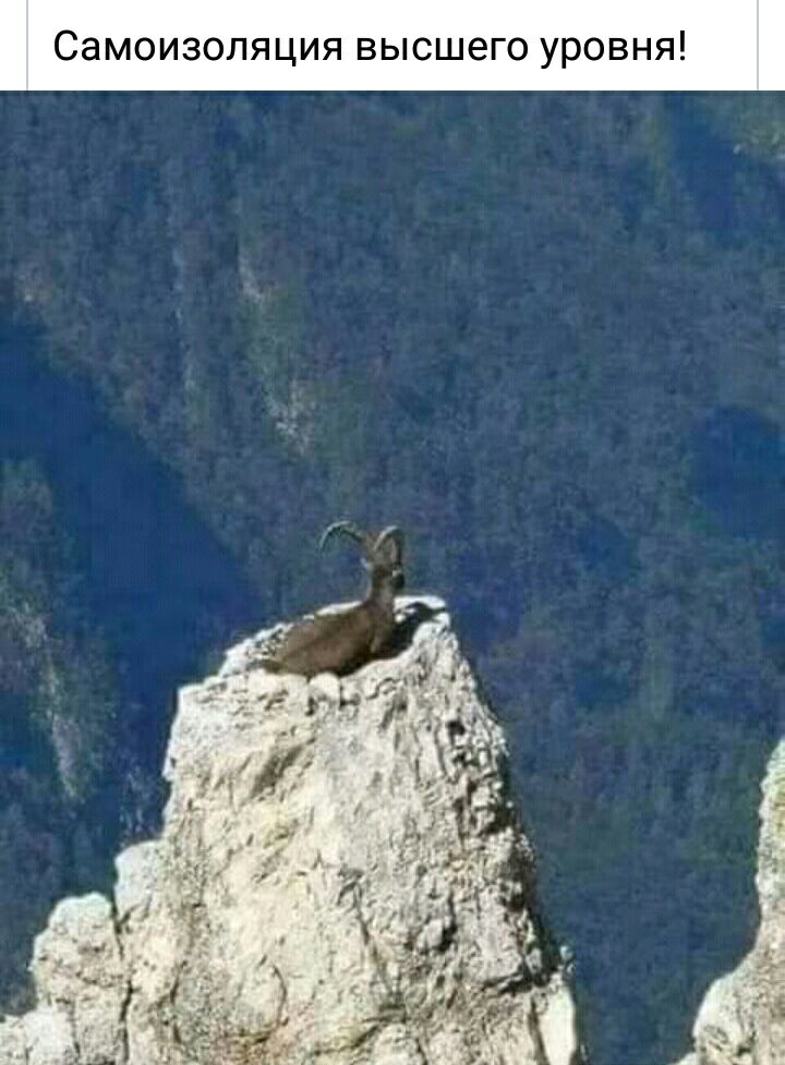 я н В о 0 У 0 г 6 Ш Ю Ь В я и Ц я л 0 3 и 0 М а С