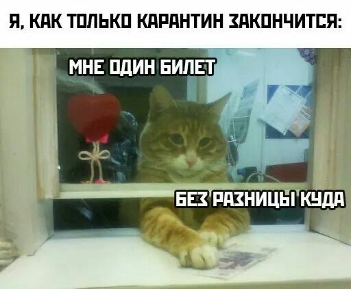 П КПК ТПЛЬКП КПРПНТИН ЗПКПНЧИТЕП