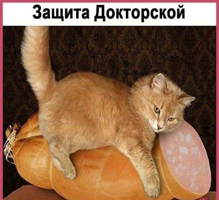 Защита докторской