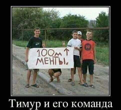 Тимур и его команда