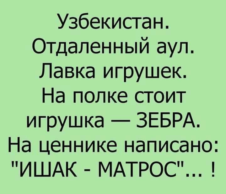 Узбекистан Отдаленный аул Лавка игрушек На полке стоит игрушка ЗЕБРА На ценнике написано ИШАК МАТРОС