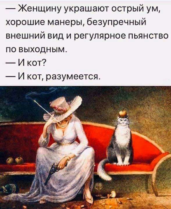Женщину украшают острый ум хорошие манеры безупречный внешний вид и регулярное пьянство по выходным И кот И кот разумеется
