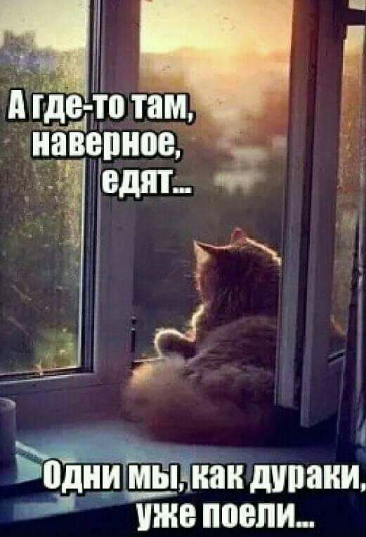 д где то там пдіщгмь Ципи диваны инт поели