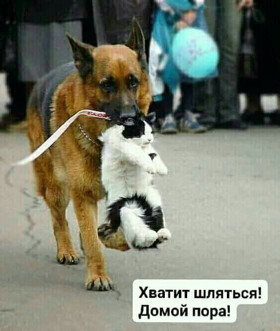МЙ Хватит шляться домой пора