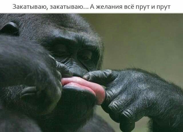 КВТЫВВЮ закатываю А желания ВСЭ Т ПРУТ