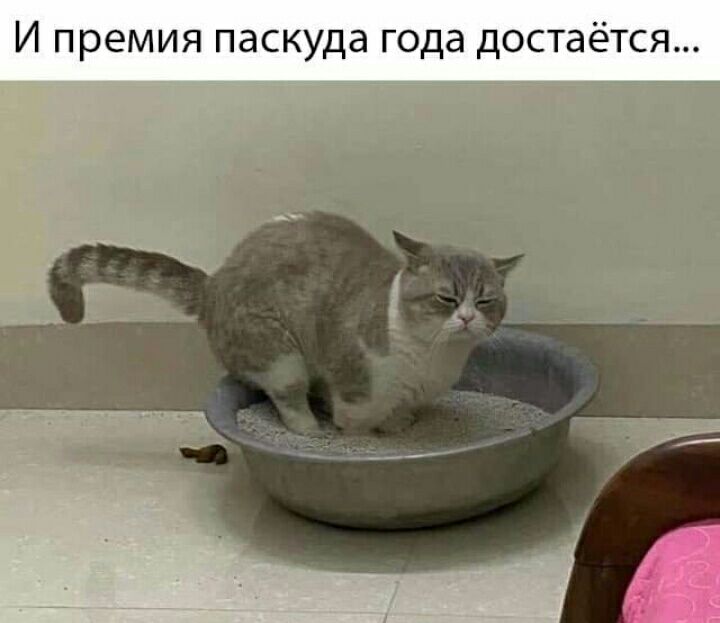 И премия паскуда года достаётся