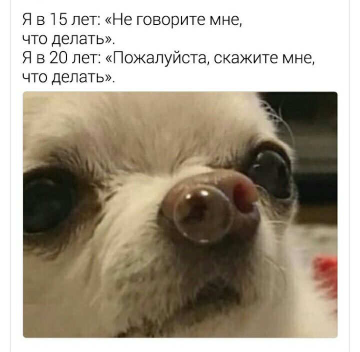 Я 515 лет Не говорите мне ЧТО делать Я в 20 лет Пожалуйста скажите мне что делать