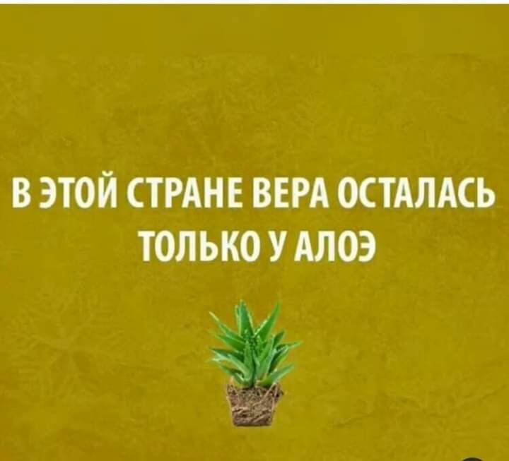 В ЭТОЙ СТРАНЕ ВЕРА ОСТАЛАСЬ ТОЛЬКО У АЛОЭ Гу _ её