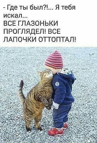 Где ты был Я тебя искал ВСЕ ГЛАЗОНЬКИ ПРОГЛЯДЕЛ ВСЕ ЛАПОЧКИ ОТГОПТАЛ