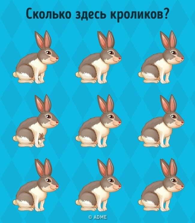 діи діё Т