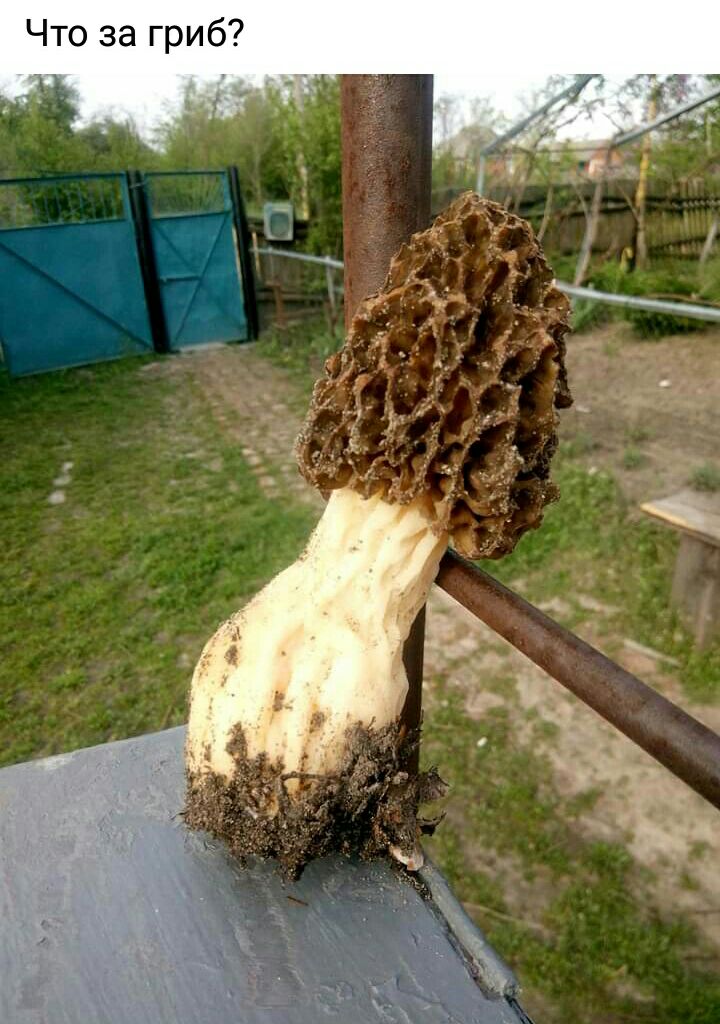 7 б и р г а з 0 Т Ч