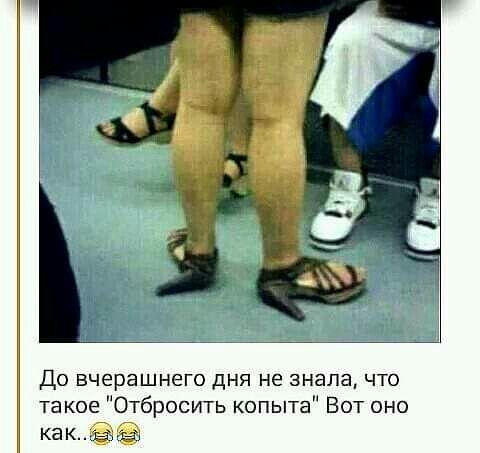 До вчерашнего дня не знала что такое Отбросить копыта Вот оно