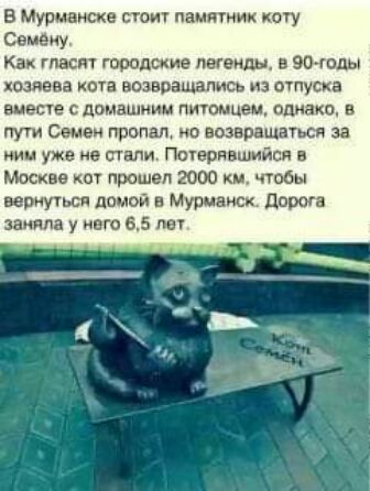В Мурманске стоит пацаном коту Семену Как гласит городские легенды и этом позже кои возвращать из отпуска више домашним питомцем спинка в пут Семен пропал по возвращаться за нии уже из стали Поюришмйся в Москве кот прошел 2000 км чтобы впиться домой Митник дороги у инт 85 пы