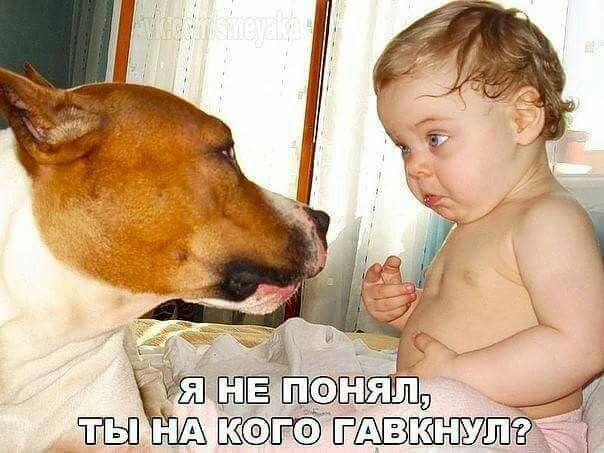 ятё тАВ
