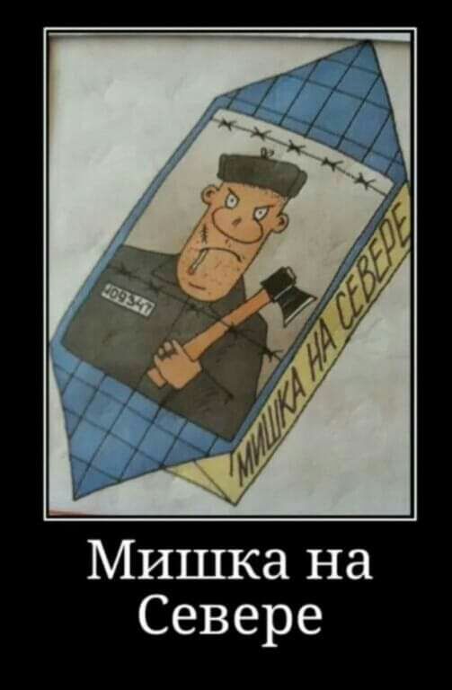 Мишка на Севере