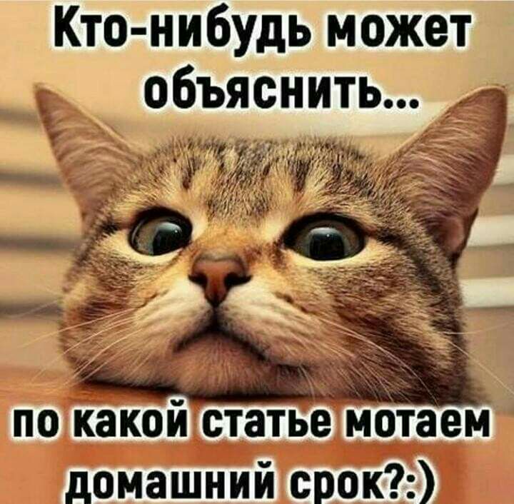 Кто нибудь может объяснить _ по какой статье мотаем домашний срок