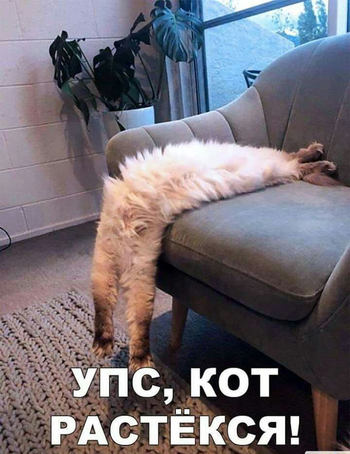 РАСТЁКСЯ_