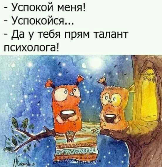 Успокой меня Успокойся Да у тебя прям талант психолога пп7