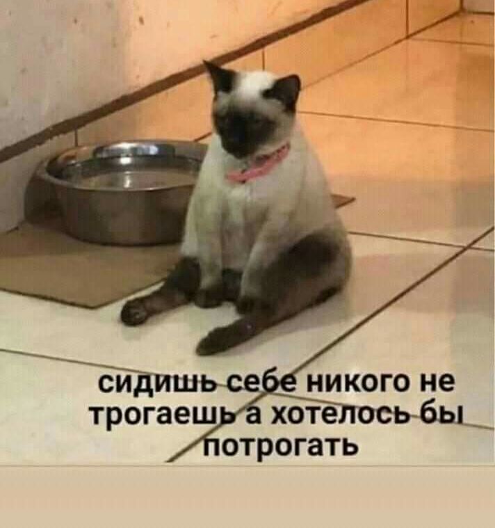 НИКОГО не отрогать