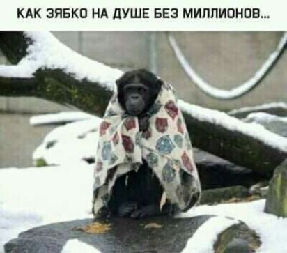 КАК ЗЯБКЦ НА дУШЕ БЕЗ МИЛЛИОНОВ