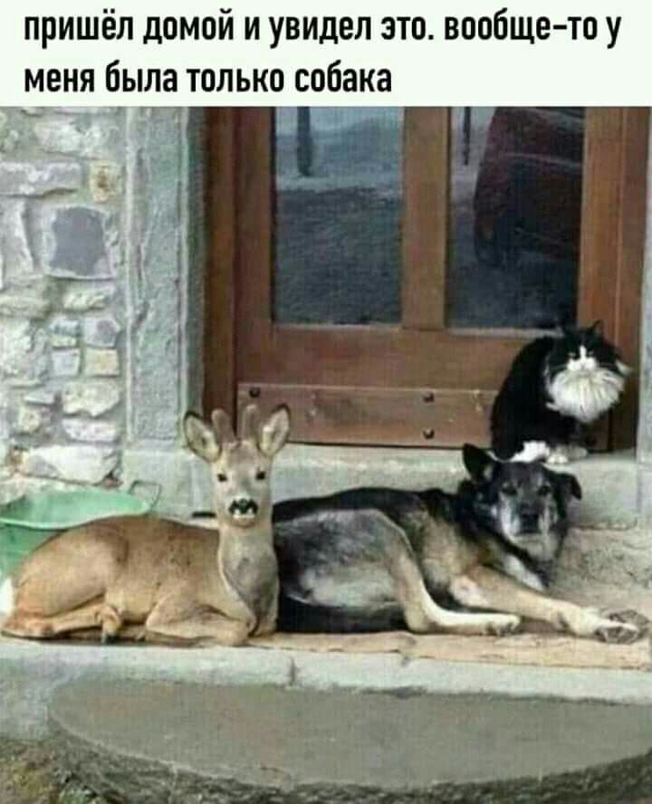 пришёл домой и увидел зто вообще тоу меня