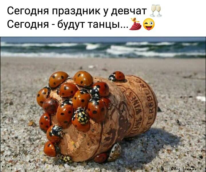 Сегодня праздник у девчат Сегодня будут танцыэ