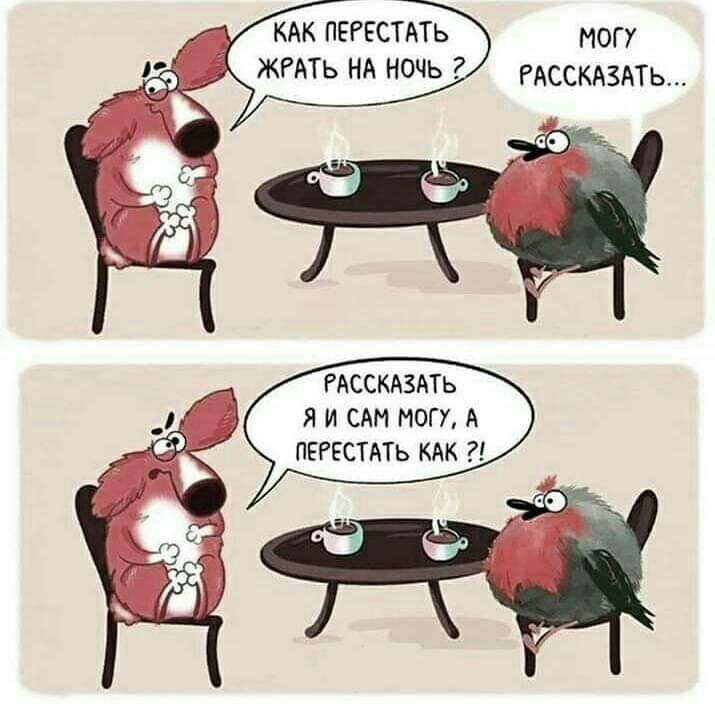 КАК ПЕРЕСТАТЬ ЖРАТЬ НА НОЧЬ МОГУ РАССКАЗАТЬ РАССКАЗАТЬ Я И САН МОГУ А ПЕРЕСТАТЬ КАК