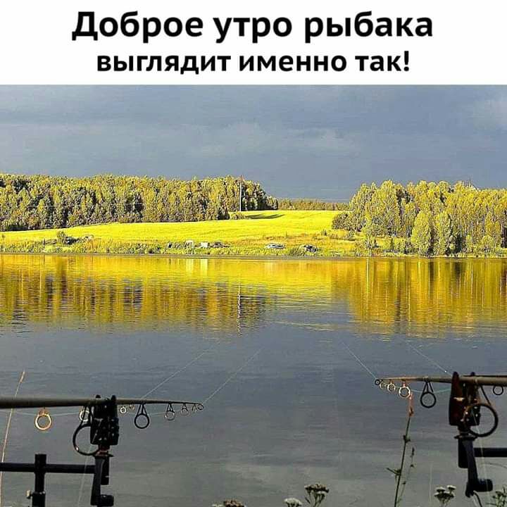 доброе утро рыбака ВЫГЛЯДИТ ИМЭННО ТЭК о