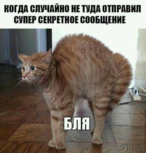 ШМ СПППЙПП ТУДА ОТПРАВИП БШЕР СЕКРЕТ ВПВБЩШИЕ