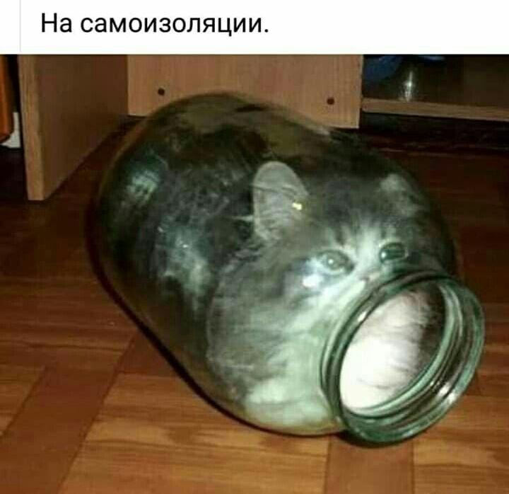 На самоизоляции