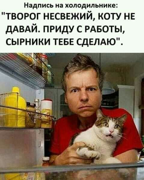 Надпись на ХОЛОДИЛЬНИКЕ ТВОРОГ НЕСВЕЖИЙ КОТУ НЕ ДАВАЙ ПРИДУ С РАБОТЫ СЫРНИКИ ТЕБЕ СдЕЛАЮ