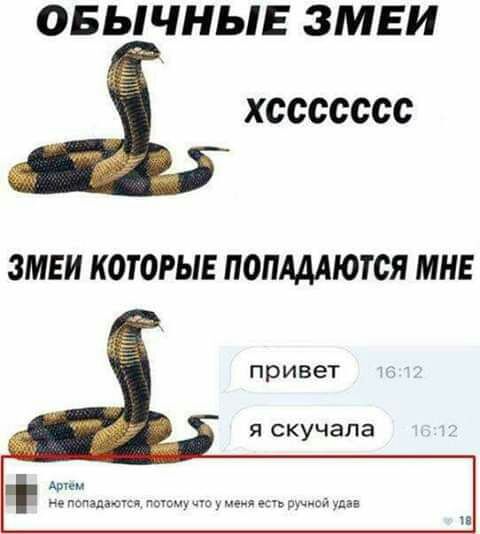 ОБЬЛЧНЬЛЕ ЗМЕИ хссссссс ЗМЕИ КОТОРЫЕ ПОПАДАЮТСЯ МНЕ привет Я СКУЧЗПЗ