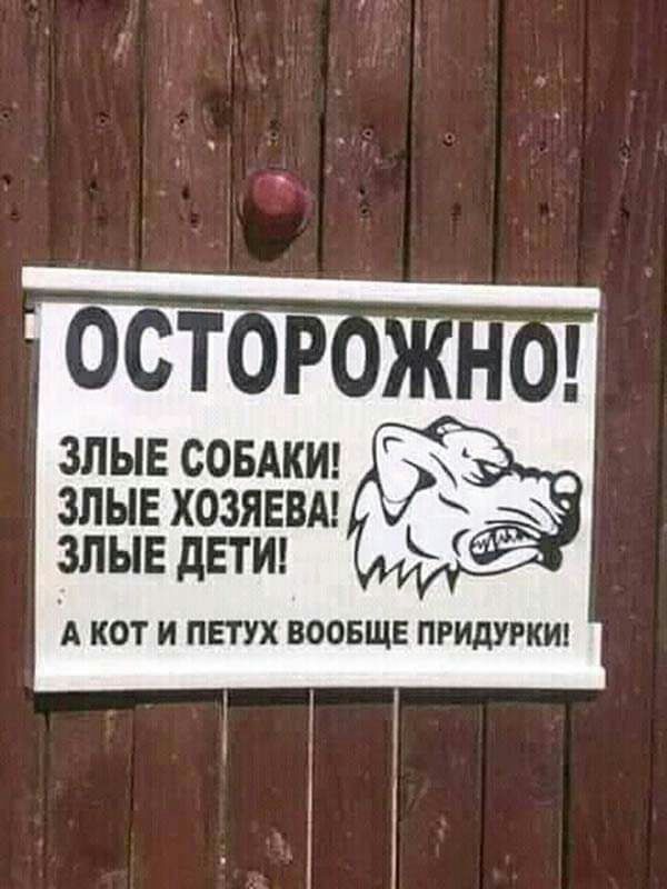 злые сопки _ злые хозяввм злые дети А кот и ПЕТУХ воовще придурки