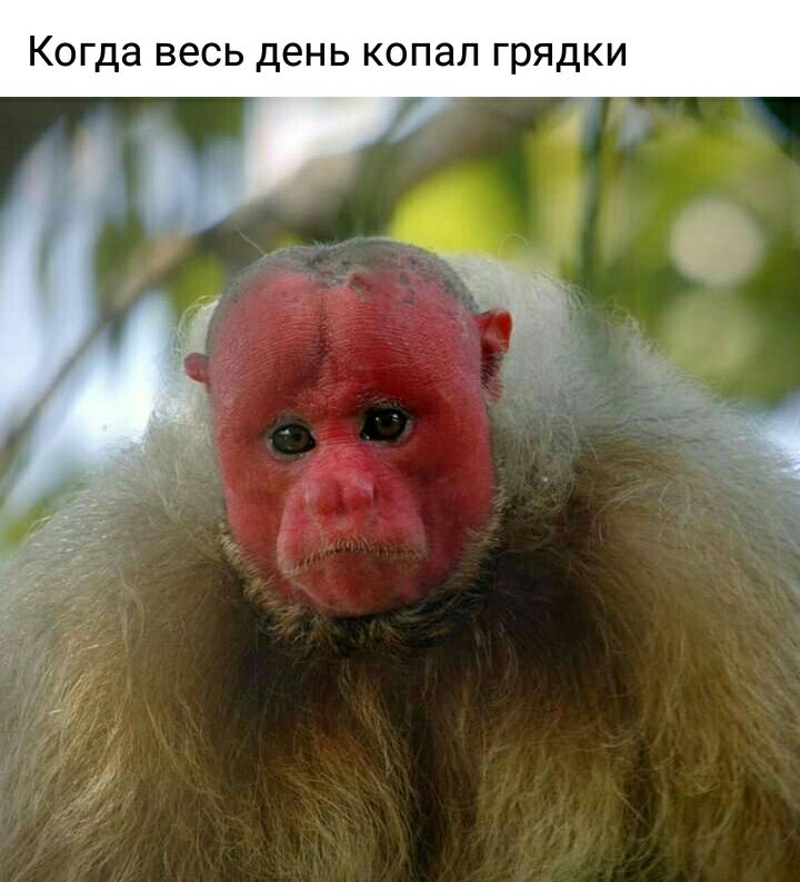 Когда весь день копал грядки