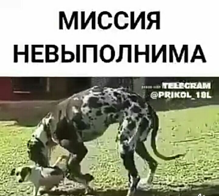 МИССИЯ НЕВЫПОЛНИМА