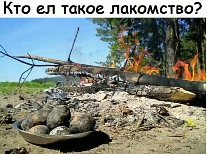 Кто ел такое лак мство