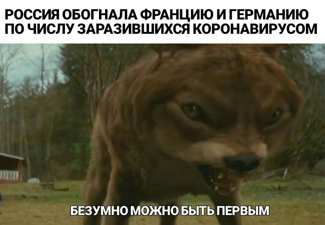 РОССИЯ ОБОГНАЛА ФРАНЦИЮ И ГЕРМАНИЮ ПО ЧИСЛУ ЗАРАЗИВШИХСЯ КОРОНАВИРУСОМ БЕЗУМНО МОЖНО БЫТЬ ПЕРВЫМ