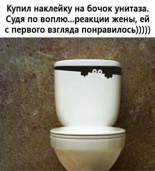 Купил наклейку на бочок унитаза Судя по воплюреакции жены ей с первого взгляда понравилось