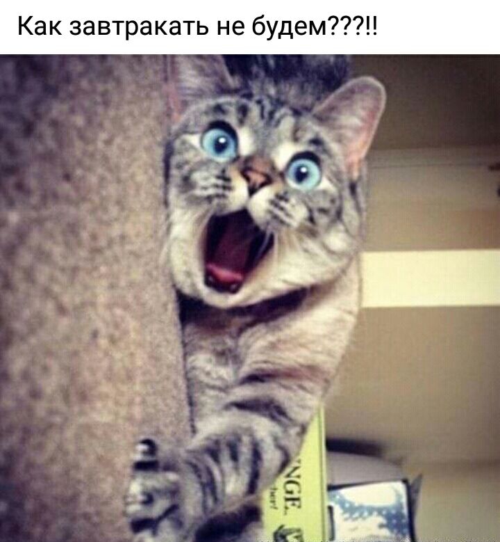 Как завтракать не будем