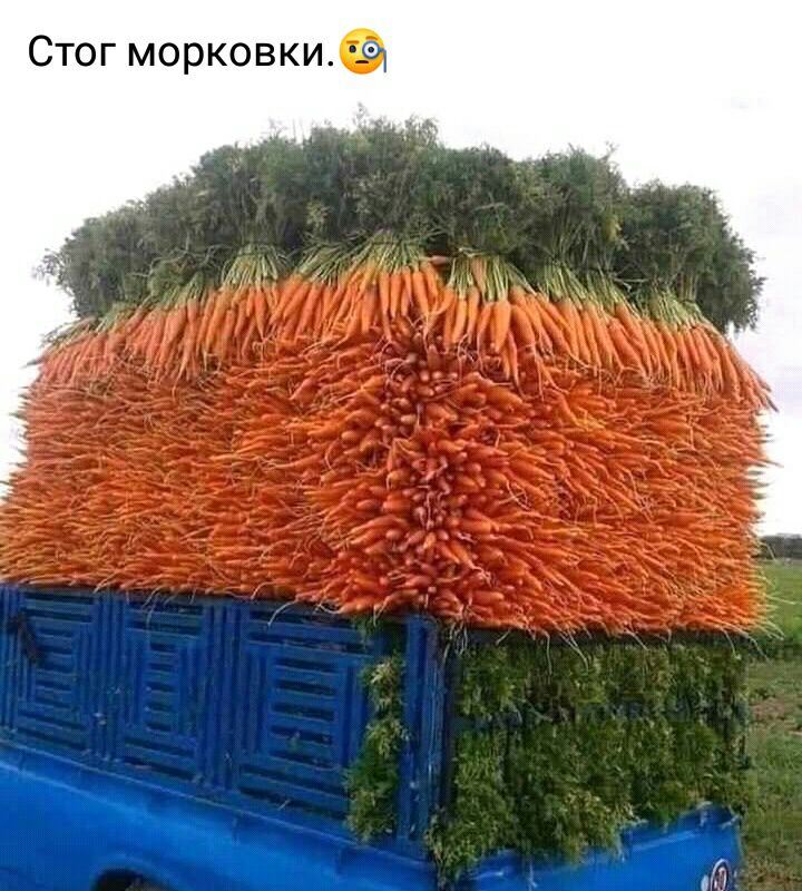 Стог морковки 191