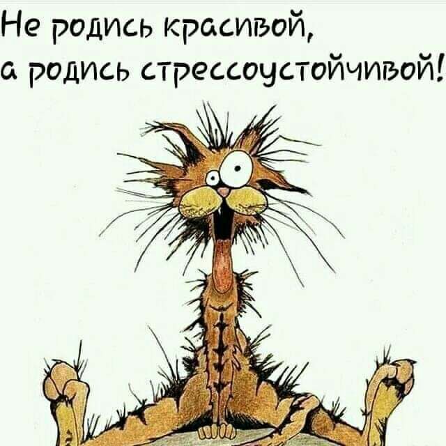 Не родись красивой родись стрессочстойчивой