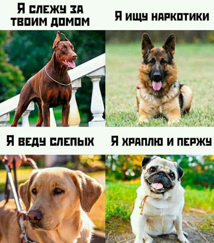 Я лвжн зд твпим дпмпм Я ИЩН ндпкптики