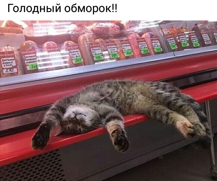 Голодный обморок