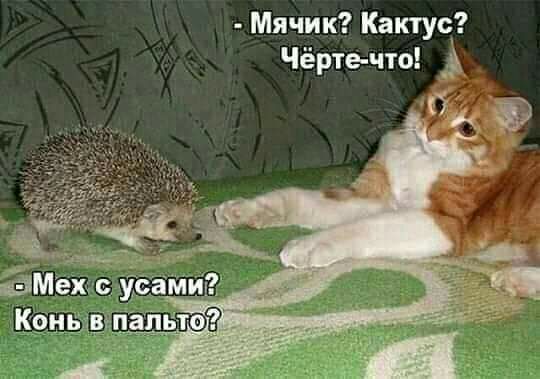 Мячик Кактус Чёрте что