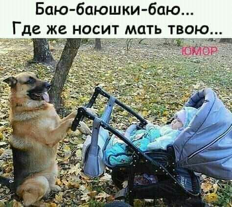 Баю бпюшки баю Где же носит мать твою й