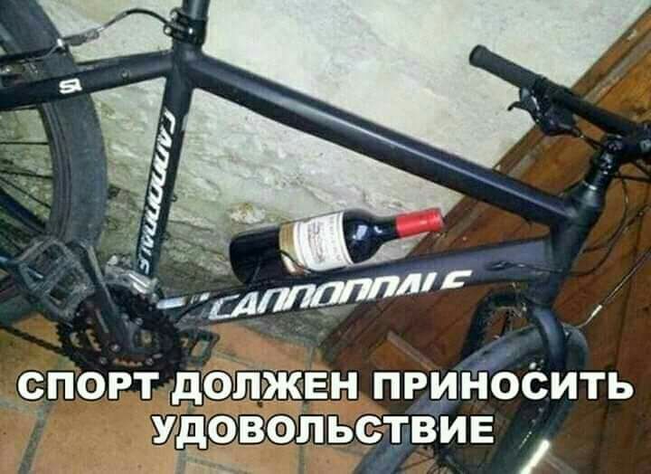спорт дшшжвн прмгіЬСИть шве альствив