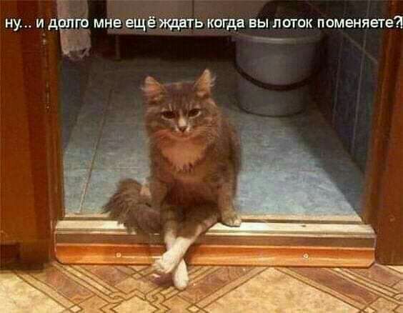 ну и 1103 мдеъещёщшртькчщя вы лоток поменяете _