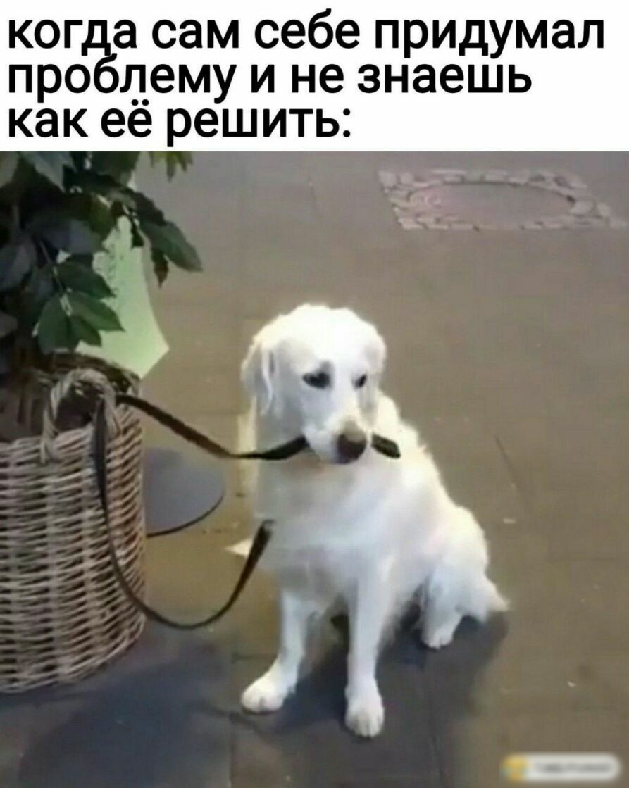 огёа сам себе придумал про л_ему и не знаешь как ее решить