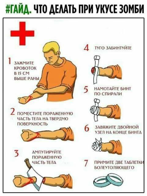 ГАЙА ЧТО АЕМТЬ ПРИ УКУСЕ ЗОМБИ 4 и шинпйц 1 зшмичі кровоток в 1 оч выше мны 5 шипит виш по спимли 2 помпсчихі подшипник чдыь пм м шито по икт С 6 зднпжигк двоимои _ им на коннг Ьинм попшен чАпь км 7 примите дн мыши ьолмопчюшы